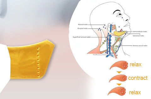 Dobshow™💛24KGold🐝BeeVenom-Lymphatic Drainage Therapy🌟🌟🌟